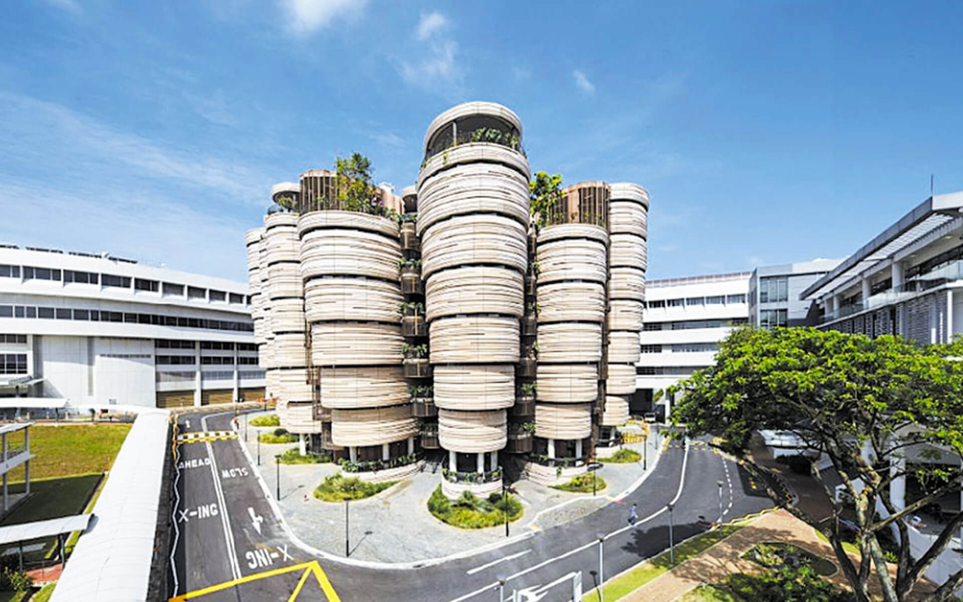 kuliah di Singapura