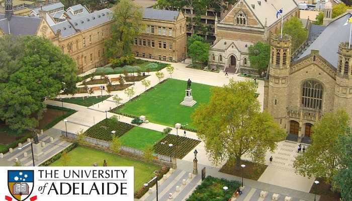 Biaya Kuliah Dan Jurusan Di Universitas Auckland