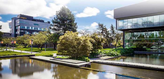 Mengenal Langara College Kanada: Jurusan, Ranking, & Informasi Lengkap