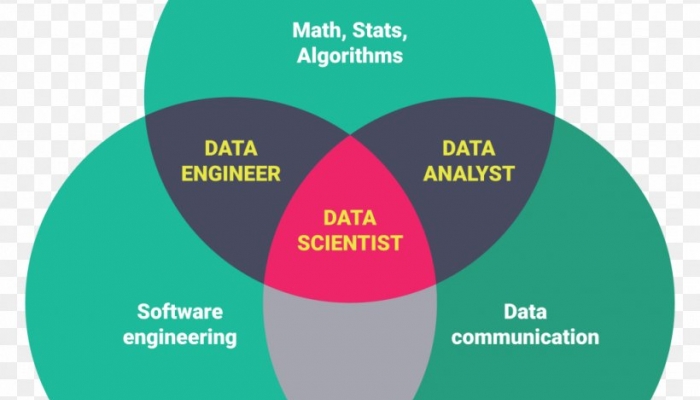 Data Science / Data Analytics